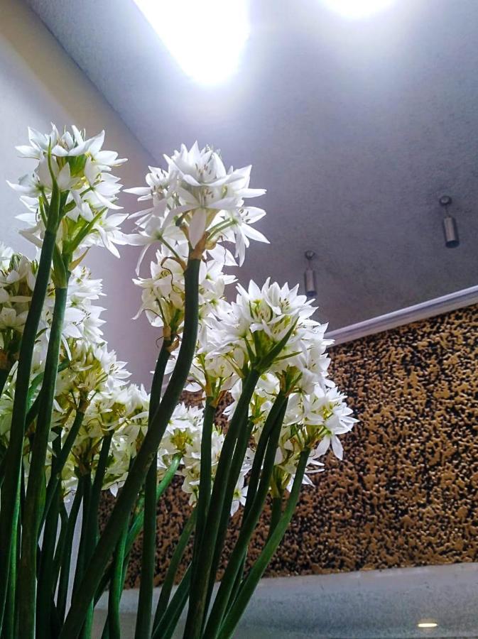Hotel Atelier Μπογκοτά Εξωτερικό φωτογραφία